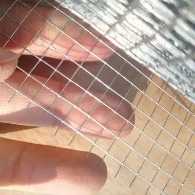 小孔细铁丝网家用阳台防护网焊接热镀锌防锈防裂抹墙网厂家包邮