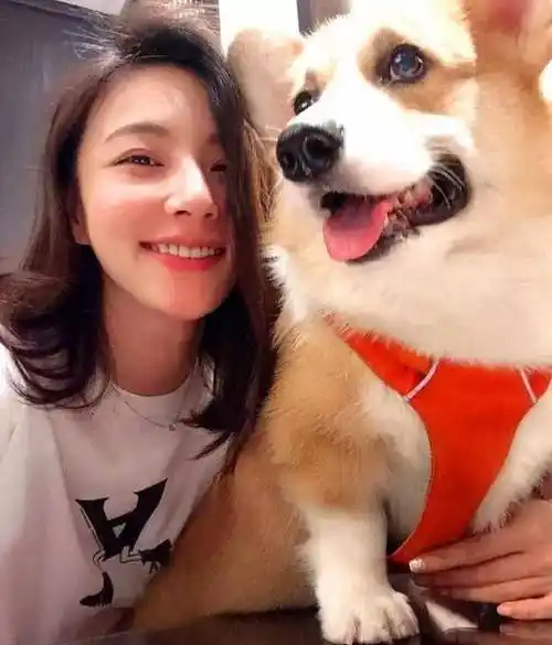 王思聪带新女友游玩,戴情侣帽帮女友拎包,网友调侃:没热狗,不好玩