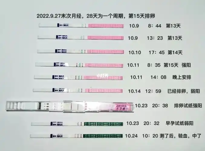 早孕试纸弱阳,排卵试纸强阳,中了