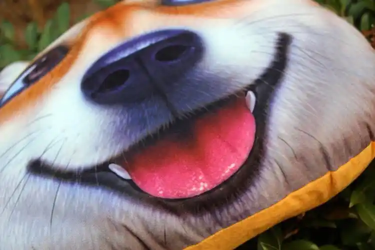 滑稽柴犬 神烦狗狗头仿真滑稽靠枕男生搞怪二哈枕头汽车靠垫 阿拉斯加