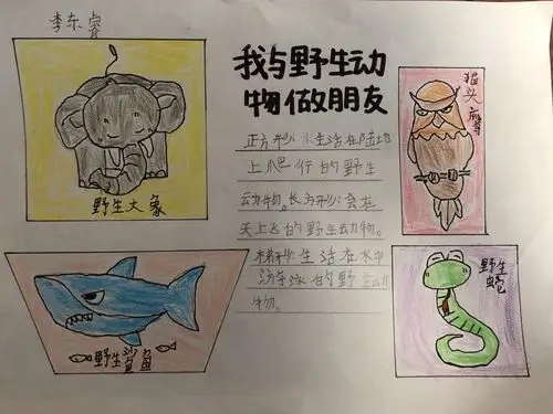 垦利区第三实验小学二年级三班"我与野生动物做朋友"在线教育项目式