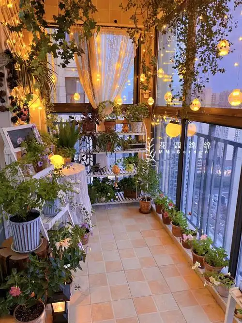 从夏天渡劫而来的阳台小花园好久不见