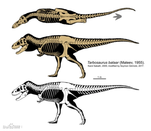 古生物爱好者的乐园:还原恐龙时代精彩辉煌