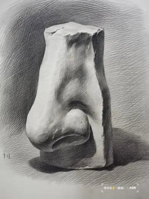 素描静物单个塑造石膏鼻子内含步骤图