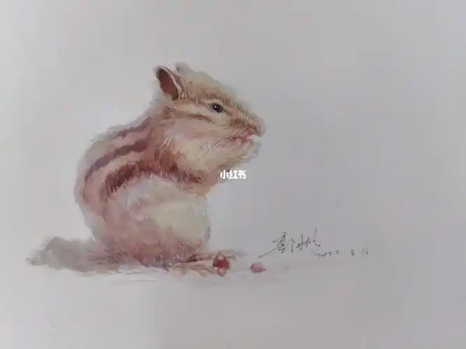 用马克笔画小仓鼠