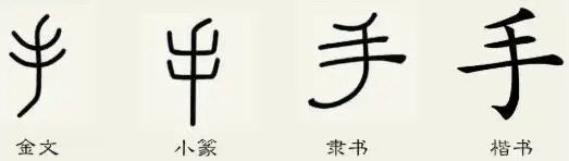 手字金文到现代文字的演变过程图