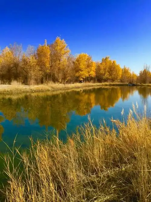 美好时光的回忆