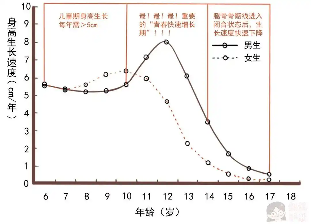 「早读」开春后长高黄金期,抓住这三点,孩子猛蹿个儿