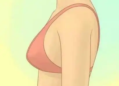 女性乳房形态分为几类图解最美的两种胸型标准