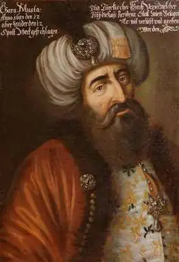 影响世界深远的两天,1683年,维也纳那场改变人类走向的大战