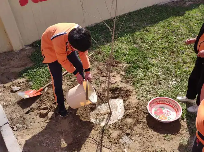 2019.3.12南赵楼镇商营小学少先队植树节活动