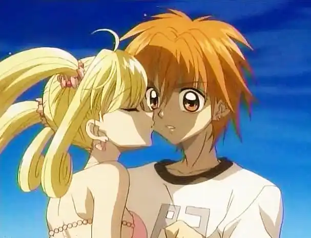 求露芝亚和海斗的结婚证图片