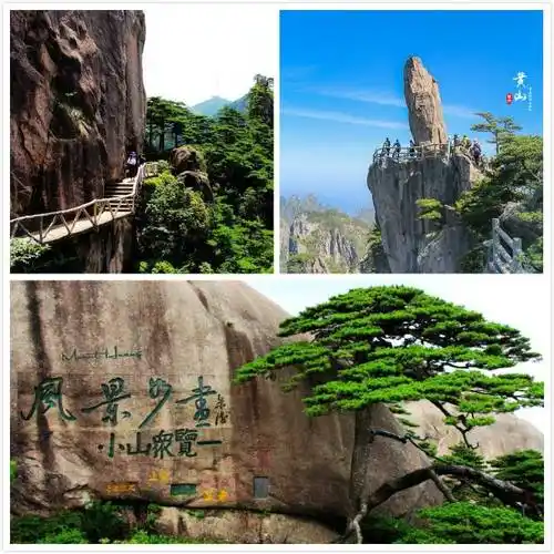 春天去黄山五天旅游超超超全攻略黄山5日游精华景点推荐亲身经历