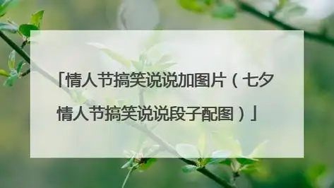 情人节搞笑说说加图片(七夕情人节搞笑说说段子配图)