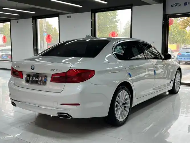 宝马 宝马5系  2020款 530li 领先型 豪华套装图片