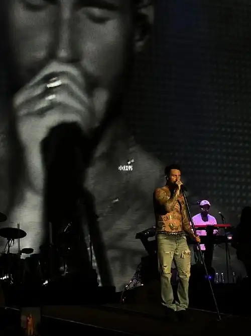 maroon5这个男人太帅啦