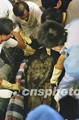 图连云港出土的汉代女尸名叫凌惠平