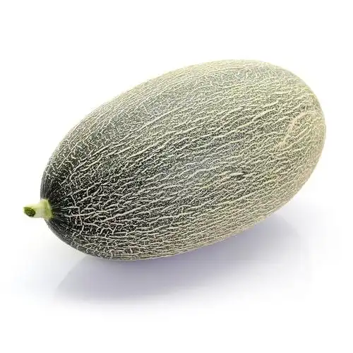 海南 北纬23度蜜瓜单枚装1600g-2000g