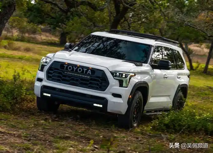 丰田红杉(丰田红杉图片)-驾考宝典