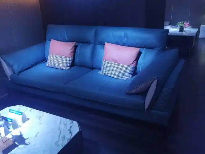 科技布双人位沙发 尺度生活活动爆款 团购活动爆品 团购免费 家博会