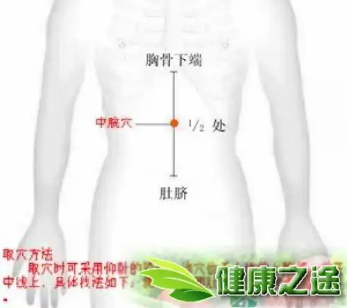 肚子拔罐减肥 肚子拔罐减肥视频