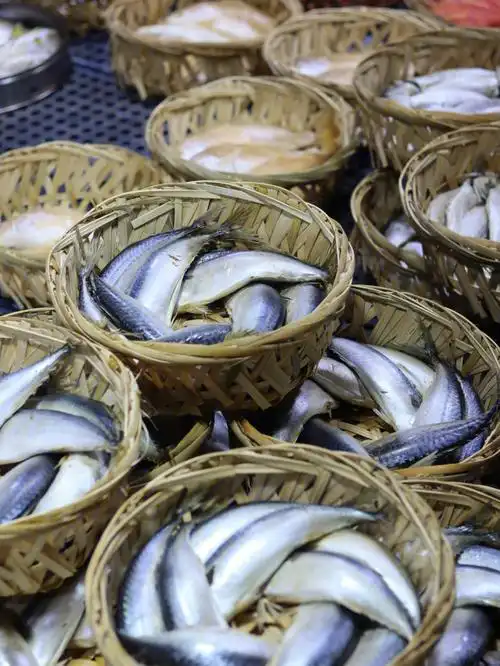 潮汕有一种鱼叫熟鱼