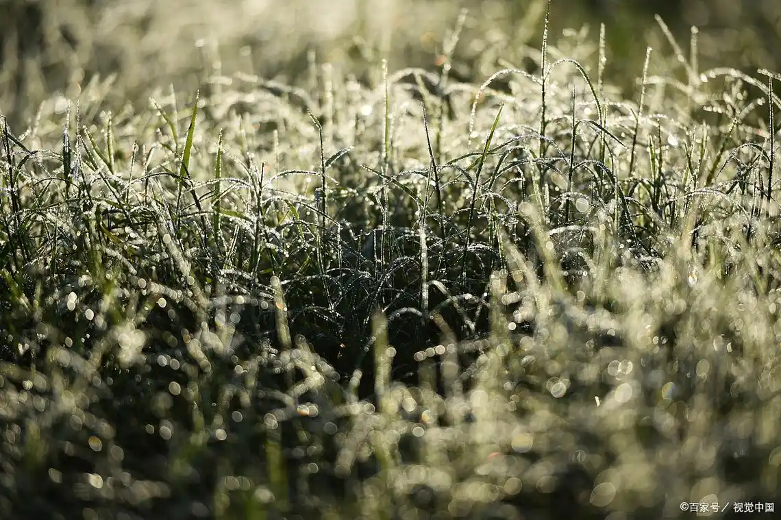 宝藏作者(尾鱼)作品合集