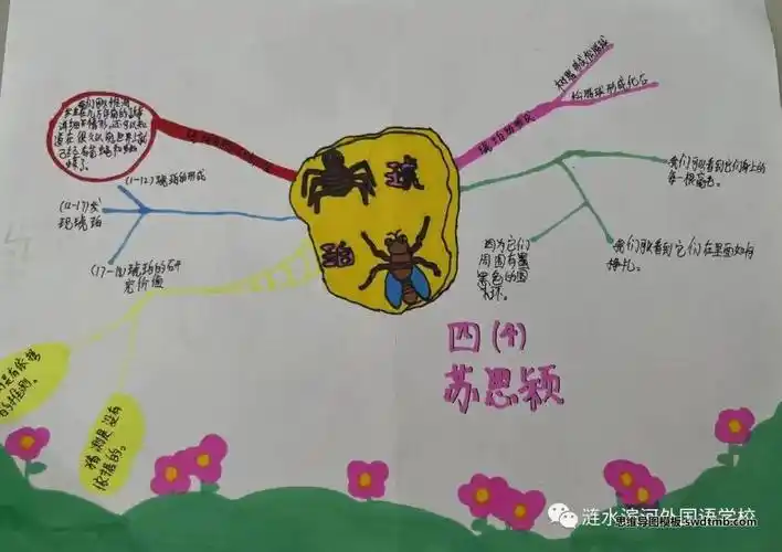 小学四年级语文思维导图 琥珀思维导图作品