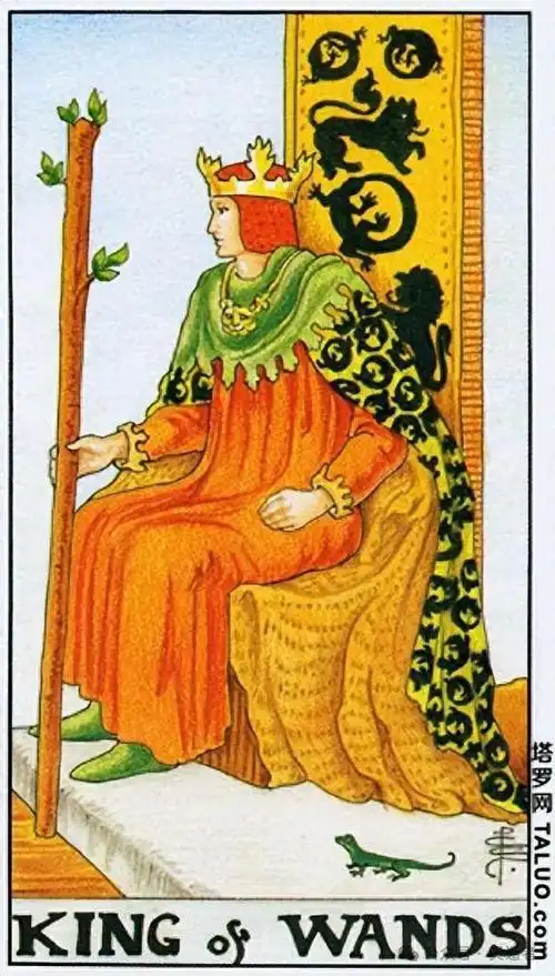 塔罗牌之权杖国王的片面解读和意象|骑士|狮子|宝剑|蜥蜴|披风_网易订