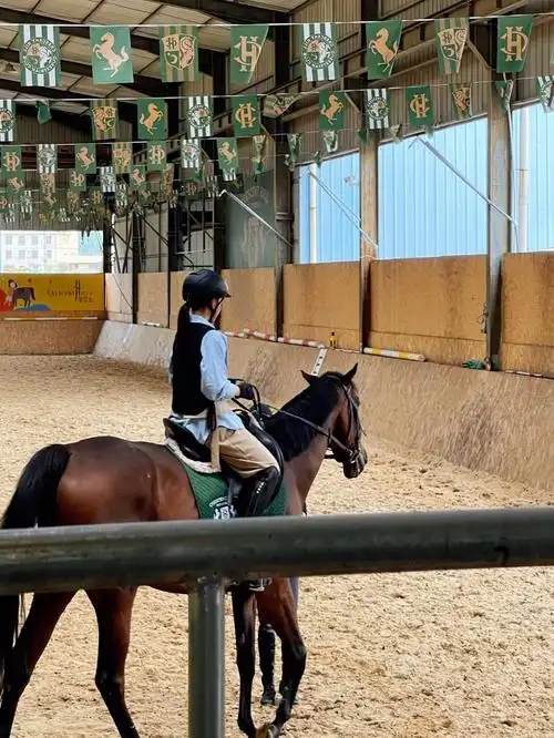 建议女生去体验一下马术课会有不一样的收获头盔比赛场地内骑马强制性