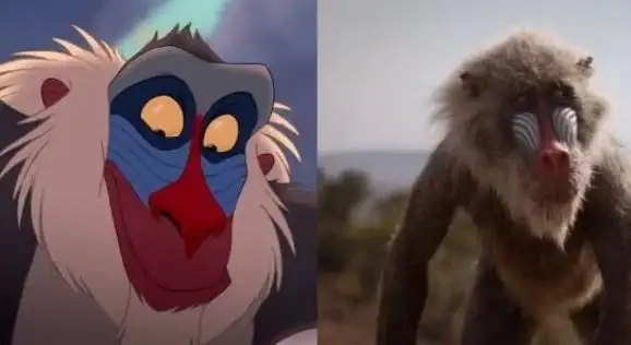 狮子王里有没有这个鸟啊,我怎么不记得,不过右边的真鸟挺像