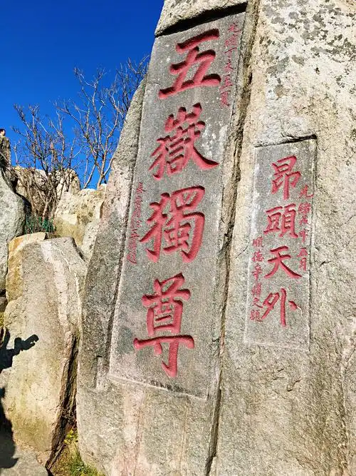 层林尽染的泰山.