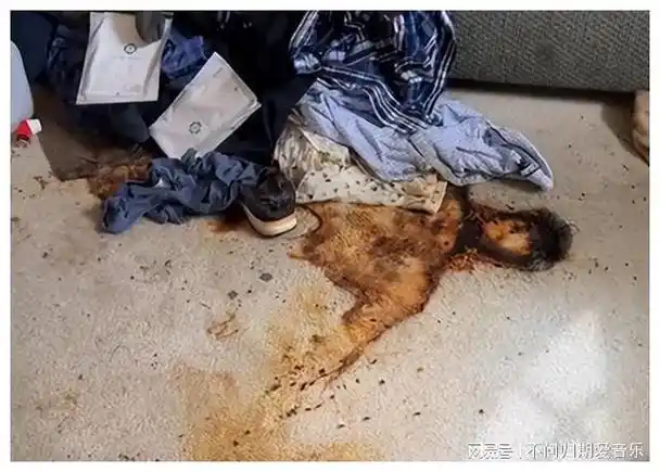 顶着10万蟑螂打扫凶案现场这种死亡清洁工一年能赚多少钱