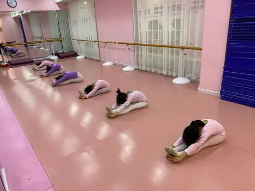 星天骄舞蹈中国舞三级提升班