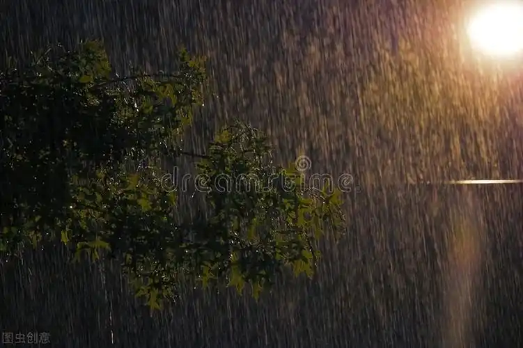 夜晚环境描写的优美句子