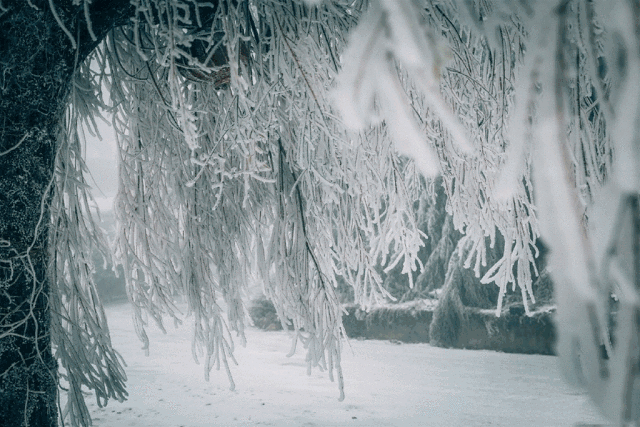也不要冒险上山哦冬天山上雪景再美听说,冷空气也要玩"跨年"?