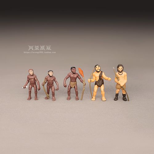 仿真小号人类进化教具原始人模型 古猿能人直立人穴居人智人摆件