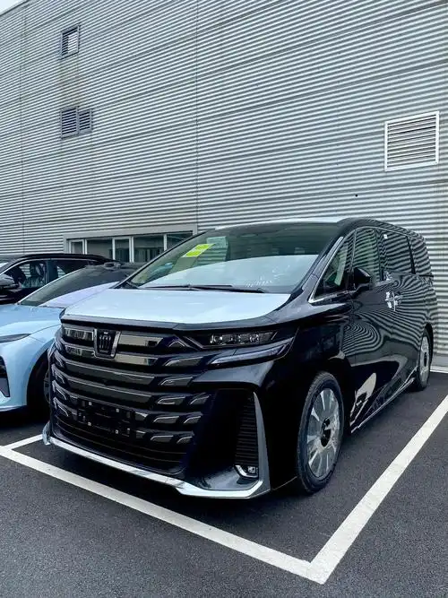 皇冠威尔法接车直发 - 抖音