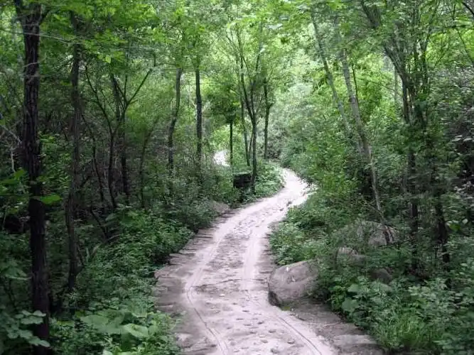 心理学:凭直觉选择一条山间小路,测测看你后半生幸不幸福!