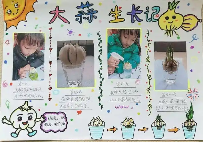 用心地绘制出一幅幅图文并茂的"绿植成长记录"