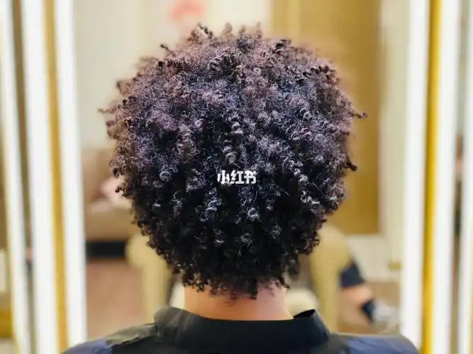 拉美卷 黑人卷 羊毛卷 黑人烫 爆炸头 脏辫