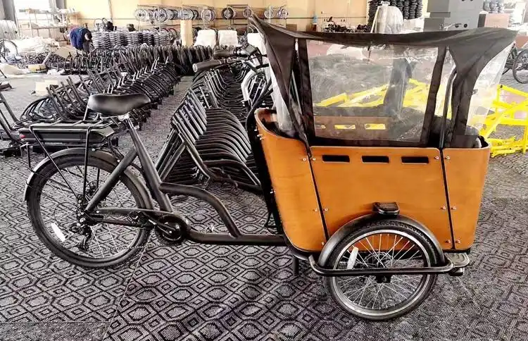 倒三轮自行车美国ferla泽西岛带娃神车汉森cargobike货箱自行车 直角