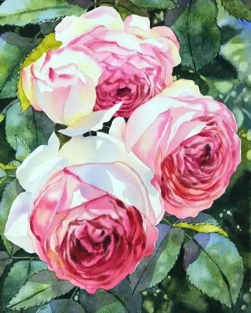 水彩大咖花卉作品欣赏