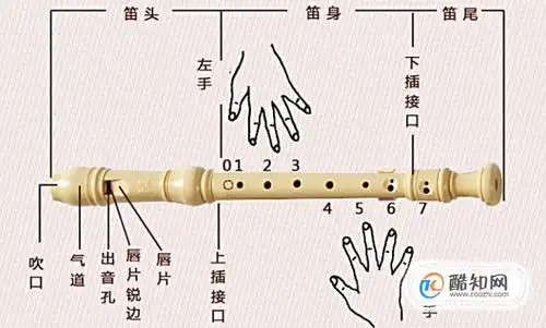 八孔竖笛教程优质