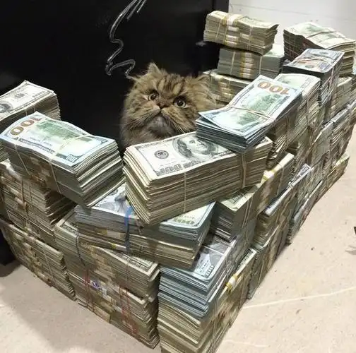 你见过这样炫富的吗金钱军火女人样样不缺