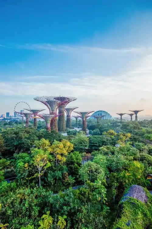 跟着新加坡滨海湾花园一起云春游
