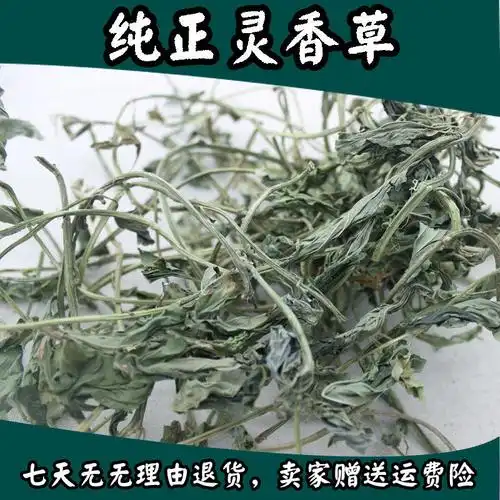 香料调料香草云南香辛料卤料调味料灵草