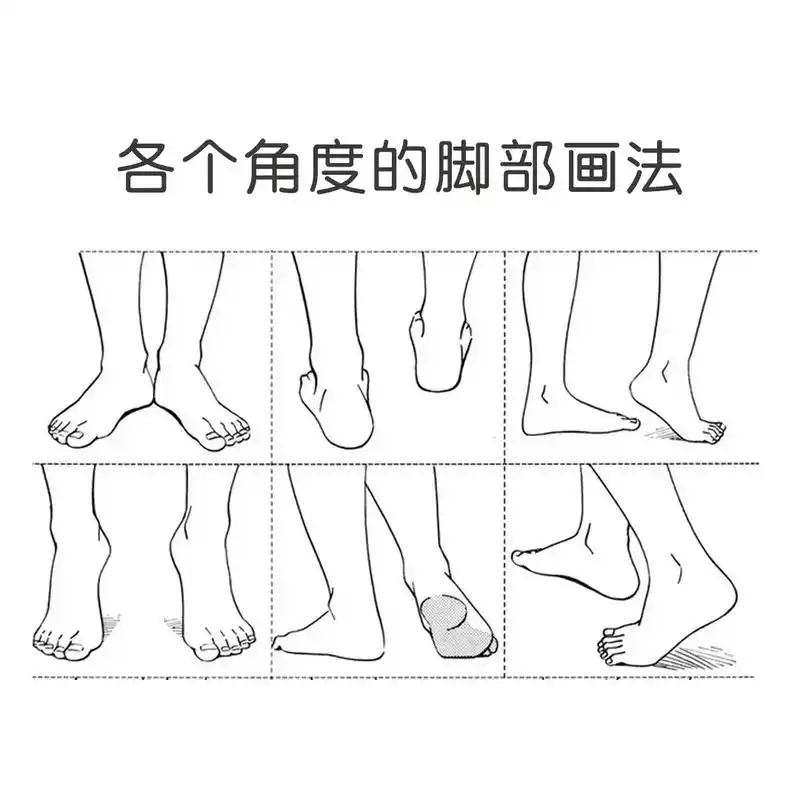脚部结构画法素材,抓紧收藏起来 - 抖音