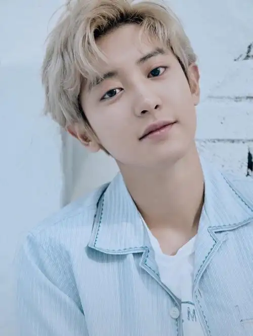 > exo最新帅气写真图片(7/8)