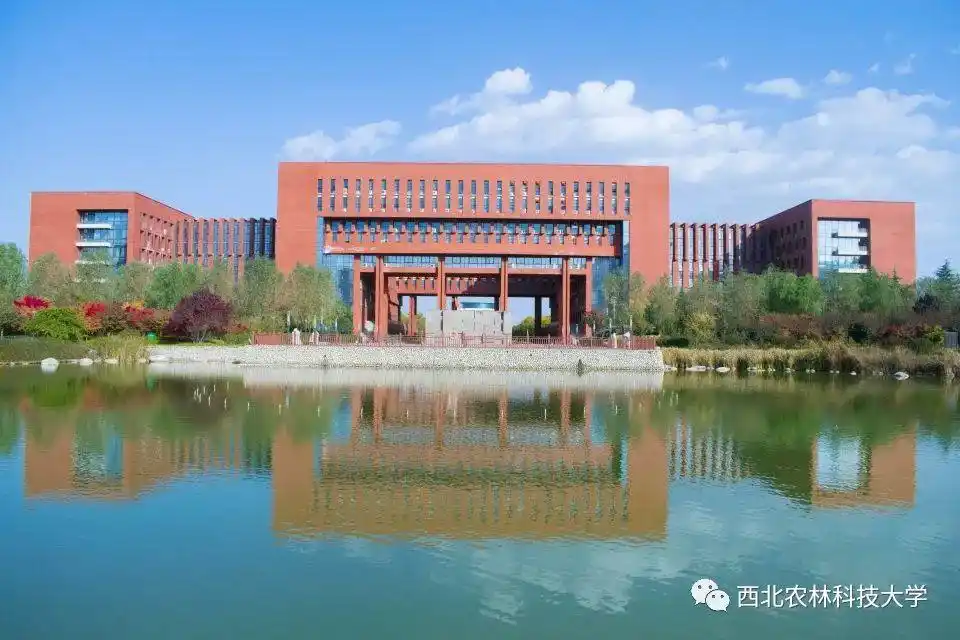 从1932年说起……_西北农林科技大学_零二七艺考